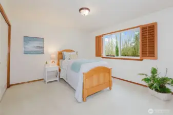 Bedroom #2 - MORE plantation shutters