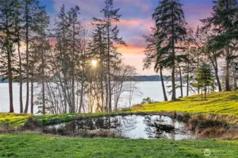 Tranquil pond offering a peaceful retreat within the estate.