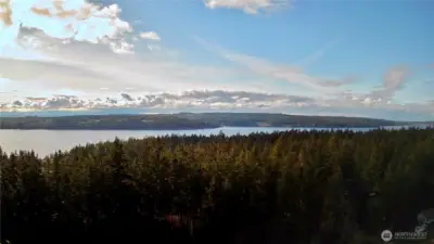 Surrounded by the beauty of Whidbey Island!