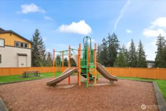 Community Park