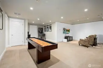 Amazing rec room space!