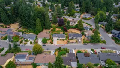 Neighborhood View