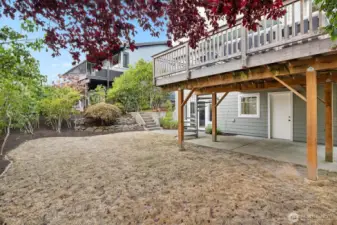 Another view of the backyard. The fall rains will do wonders for the grass.
