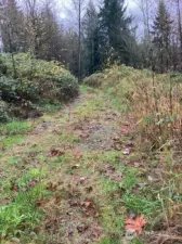 looking the other direction