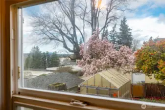 View from Kitchen window