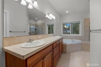 Master bathroom with lots of counter space....WIC is to the front right of this photo.