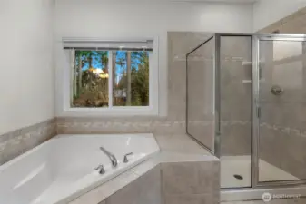 Primary suite has a 5 piece bath and a walk-in closet. Tile surrounds the shower and soaking tub.