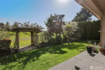 Backyard