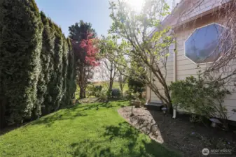 Sideyard