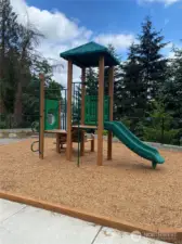 Community Playground