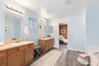 Spa like Primary bathroom.