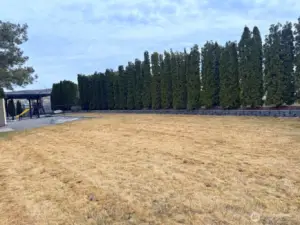 spacious .28 acre lot