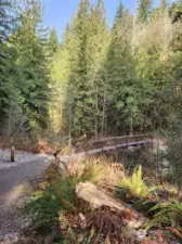 Park bridge over creek at North end of Lot