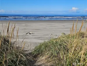 a walk on the beach and...