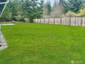 View of rear yard.