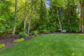 The connection to nature feels immediate and calming, grounding every moment spent outside and yet you are close to town, The Evergreen State College and trails to explore.  Welcome home!