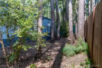 Fully fenced area perfect for dogs