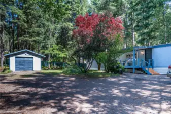 View from driveway
