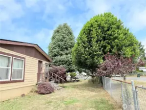 Side yard