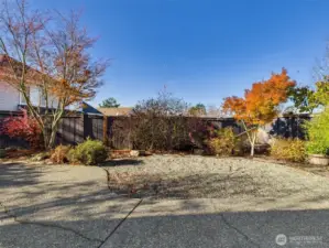 Back yard oasis with patio