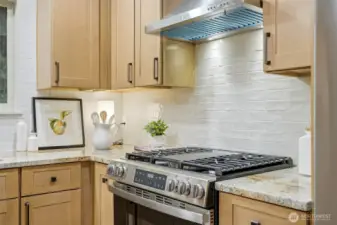 New gas oven and ventilation hood highlighted by custom tile backsplash.