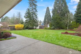 Generously Sized Backyard