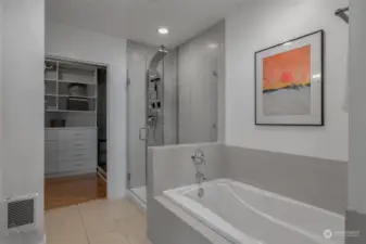 Primary Bath tub