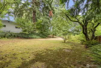 Back Yard Lower