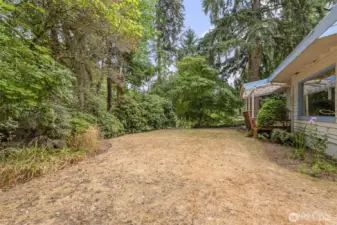 Side Yard