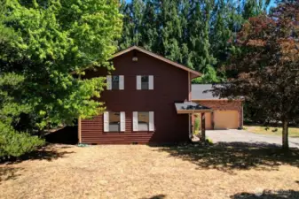 Side yard. Nice and green in the spring!