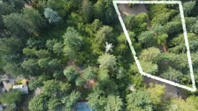2 SPRUCE