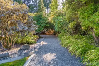 Lovely pathways meander through this former Monticello Gardens property. The trees and shrubs including some huge rhododendrons, are all fully mature after decades of growth.