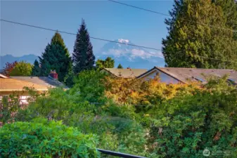 Gorgeous views of Mt. Rainier from the kitchen, eating area, sunroom, deck, and firepit areas.