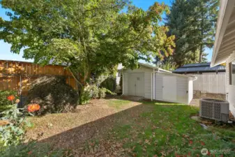 Back yard space offers two additional storage sheds!