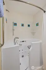 walk in bathtub and shower in 2nd bath