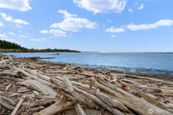 community beach - Livingston Bay