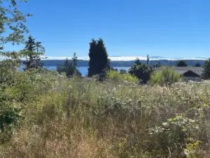 Fabulous views of Saratoga Passage, Whidbey Island, and the Olymoic Mountains