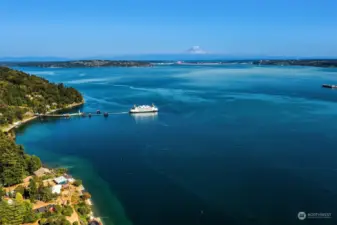 The southern shores of Vashon are visited by Orcas, eagles, herons, otters and myriad bird life. Ferries ply the sound all day long.