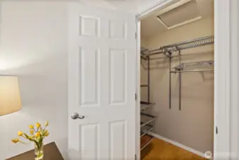 Spacious walk-in closet in master bedroom