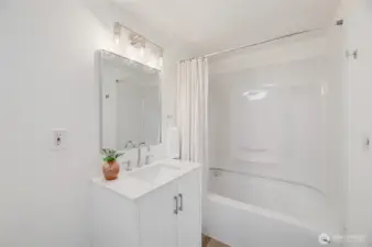 Lower level bathroom