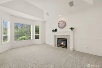 Formal Living Room Fireplace