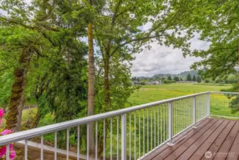 Deck off main level living area