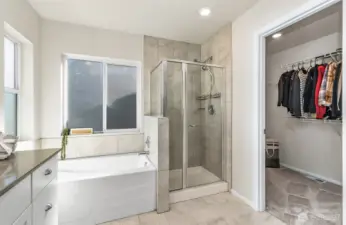 soaker tub and separate shower