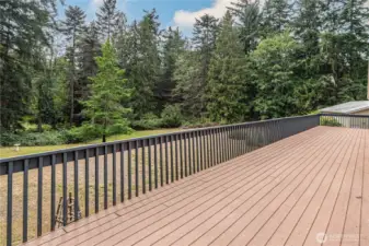 Spacious deck runs the length if the home.