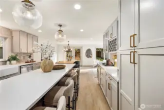 Double pantry cabinets