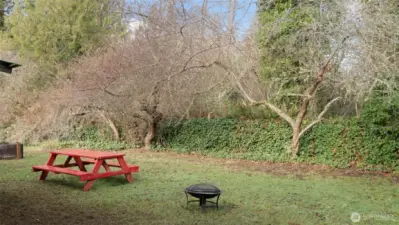 Large, private backyard