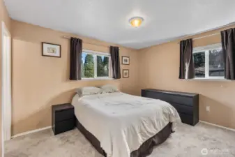 Primary bedroom featuring two windows, soft natural light, and plush carpeting