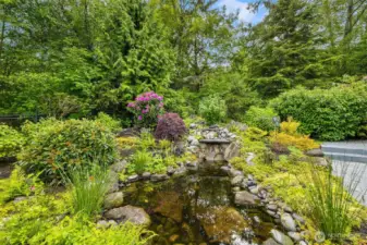 Backyard water feature