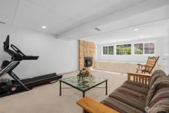 Rec/Family room with 2nd fireplace