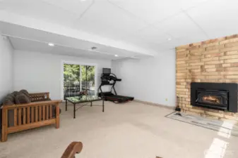 Daylight Family room leads out to backyard
